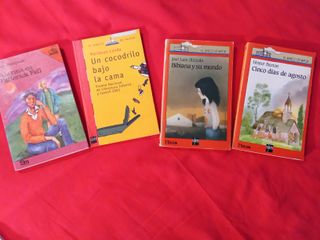 Lote 4 libros +12años