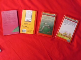 Lote 4 libros +12años
