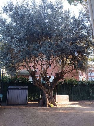 Casa adosada en alquiler en Gavà Mar en Gavà