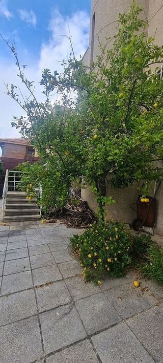 Chalet en venta en Ruta de la Plata en Cáceres