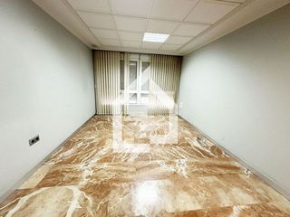 Local comercial en alquiler en Centro en San Vicente del Raspeig/Sant Vicent del Raspeig