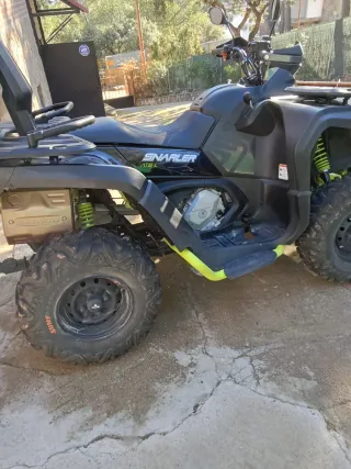 Quad Segway Snarler Negro