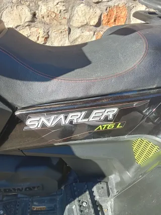 Quad Segway Snarler Negro