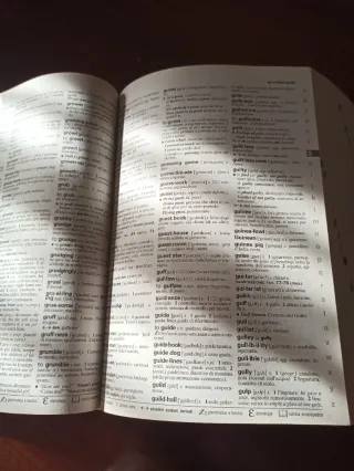 Dizionario inglese bilingue