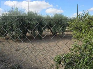 Chalet en venta en Peña de las Águilas en Elche