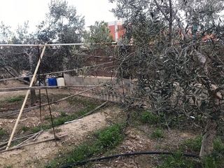 Terreno en venta en Centro en Mutxamel/Muchamiel