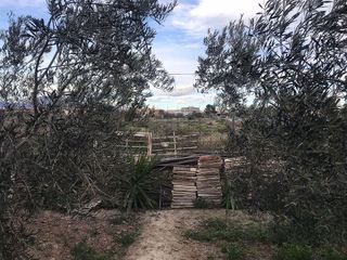 Terreno en venta en Centro en Mutxamel/Muchamiel