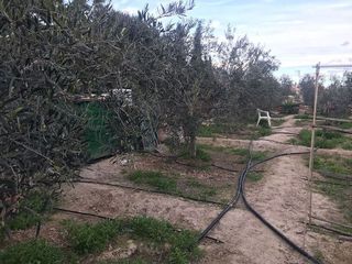 Terreno en venta en Centro en Mutxamel/Muchamiel