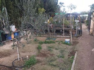 Terreno en venta en Centro en Mutxamel/Muchamiel