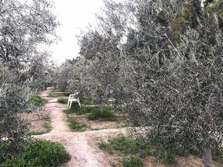 Terreno en venta en Centro en Mutxamel/Muchamiel