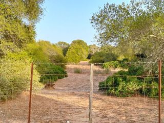 Solar en venta en Medina-Sidonia