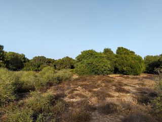 Solar en venta en Medina-Sidonia