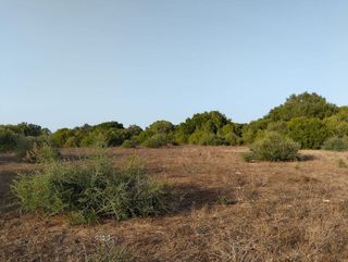 Solar en venta en Medina-Sidonia