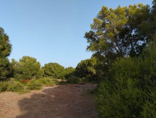 Solar en venta en Medina-Sidonia