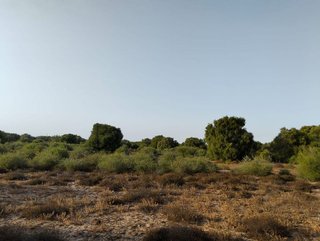 Solar en venta en Medina-Sidonia