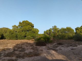 Solar en venta en Medina-Sidonia