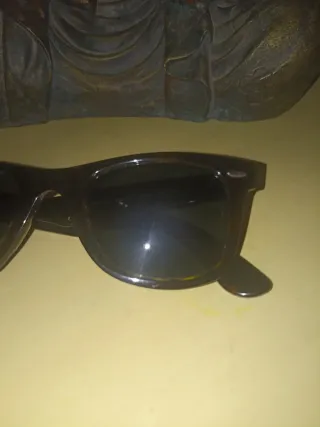 Gafas de Sol Ray-Ban Marrón/Negro