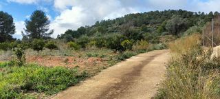 Terreno en venta en Rotglá y Corberá