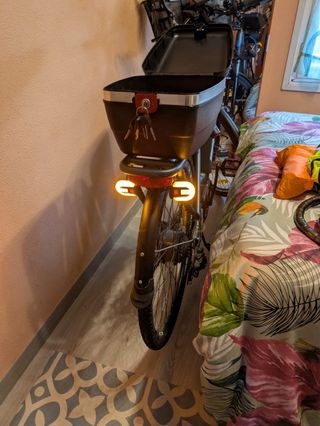 Bicicleta Eléctrica con Maletero
