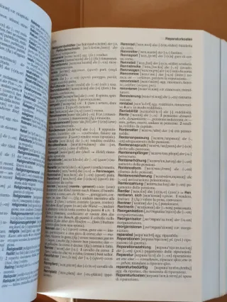 Dizionario tedesco bilingue