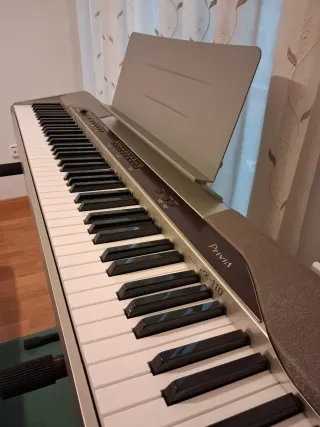 Piano Digital Casio Privia PX-110