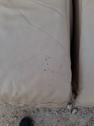 Sofás de piel beige 2 y 3 plazas