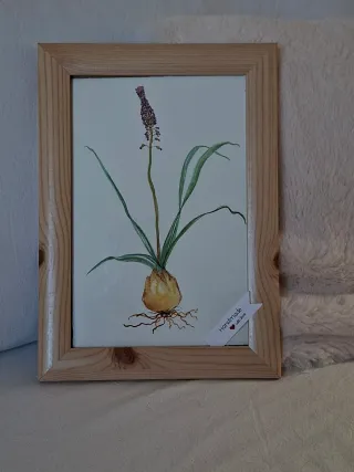 Dipinto ad acquerello fiore con bulbo