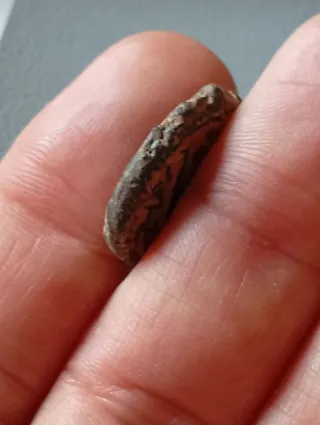 ≡ Espectacular Moneda bizantina preciosa