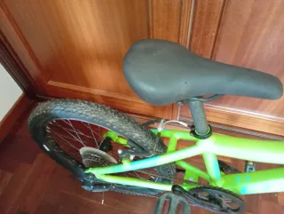 Bicicleta infantil 20 verde