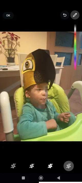 Disfraz Carnaval Ave Loro Talla Única