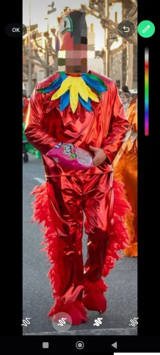 Disfraz Carnaval Ave Loro Talla Única