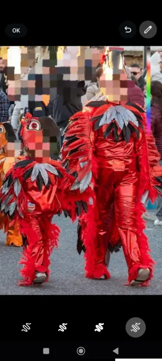 Disfraz Carnaval Ave Loro Talla Única