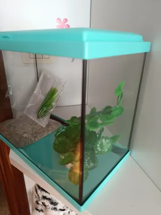 Acuario 15L Azul de la marca Aquatlantis