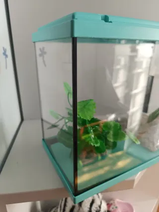 Acuario 15L Azul de la marca Aquatlantis