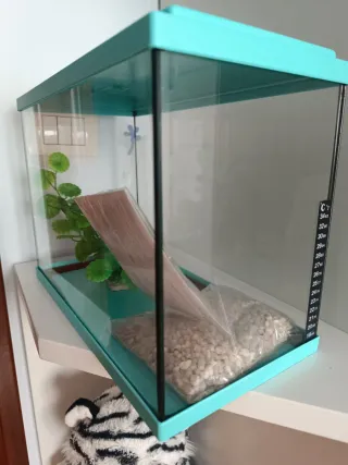 Acuario 15L Azul de la marca Aquatlantis