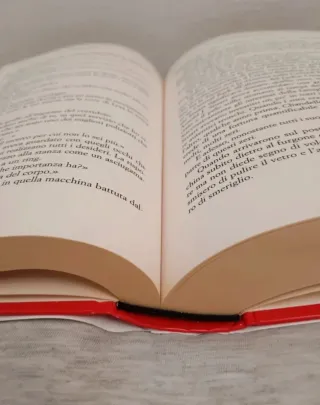 Niente di vero tranne gli occhi