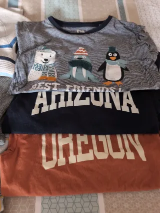 Lote 5 Ropa Niños 7 Años: Jerséis y Camisetas