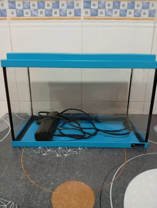 Pecera azul de cristal con filtro