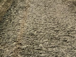 Tappeto verde scuro a pelo corto IKEA