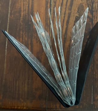 Album per monete Professional Coin Collection Book