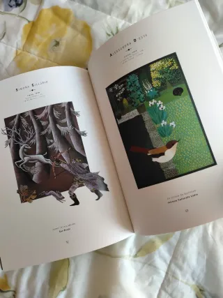 VI premi internacional Catalònia d'illustració