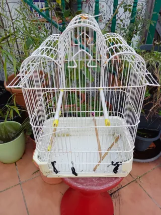 Jaula antigua decorativa