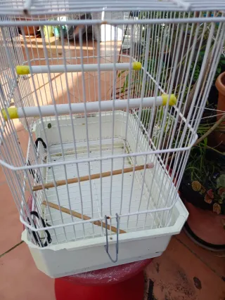 Jaula antigua decorativa