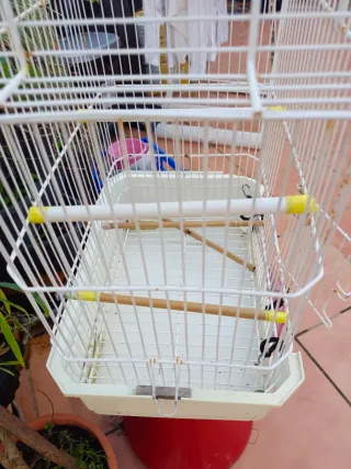 Jaula antigua decorativa