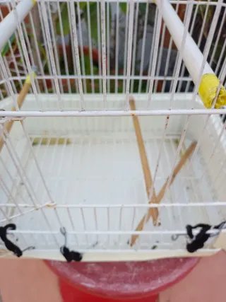 Jaula antigua decorativa