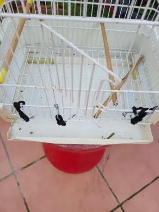 Jaula antigua decorativa