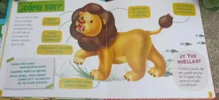 Colección de libros mis animales del zoo