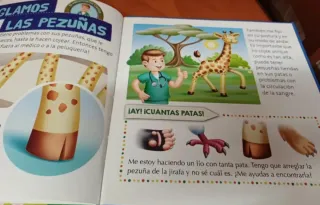Colección de libros mis animales del zoo
