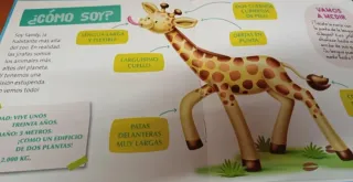 Colección de libros mis animales del zoo