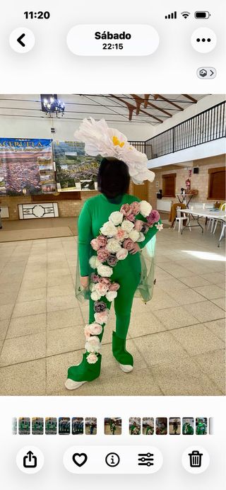 Disfraz Primavera Talla L